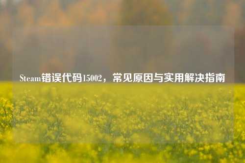 Steam错误代码15002，常见原因与实用解决指南