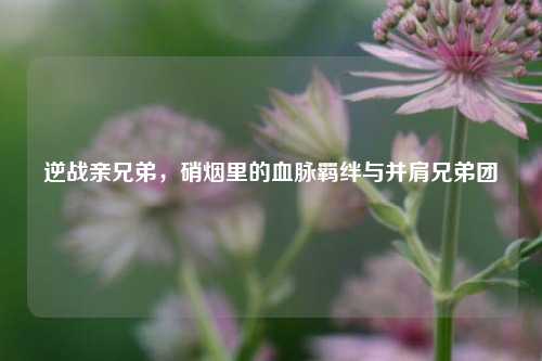 逆战亲兄弟，硝烟里的血脉羁绊与并肩兄弟团