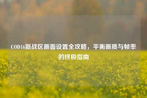 COD16新战区画面设置全攻略，平衡画质与帧率的终极指南