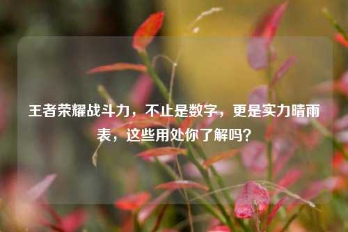 王者荣耀战斗力，不止是数字，更是实力晴雨表，这些用处你了解吗？