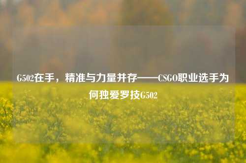 G502在手，精准与力量并存——CSGO职业选手为何独爱罗技G502