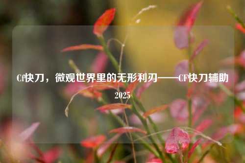 Cf快刀，微观世界里的无形利刃——CF快刀辅助2025