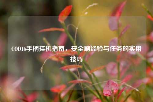 COD16手柄挂机指南，安全刷经验与任务的实用技巧