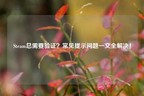 Steam总需要验证？常见提示问题一文全解决！