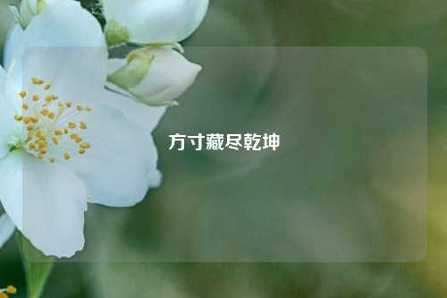 方寸藏尽乾坤