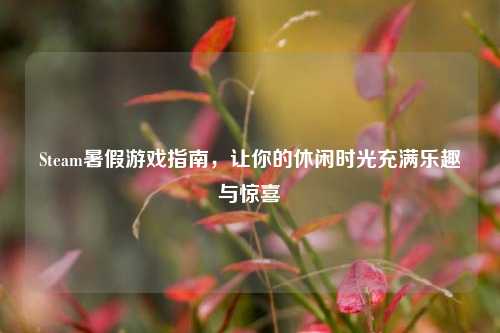 Steam暑假游戏指南，让你的休闲时光充满乐趣与惊喜