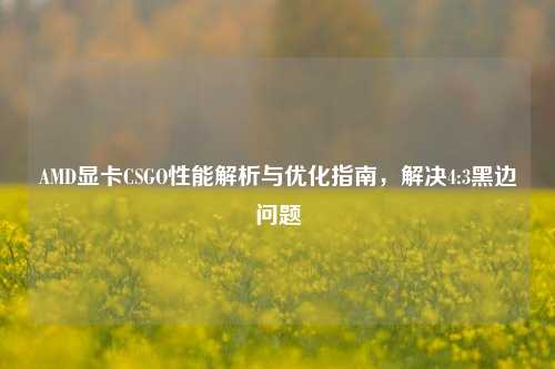 AMD显卡CSGO性能解析与优化指南，解决4:3黑边问题