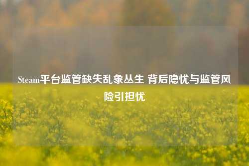 Steam平台监管缺失乱象丛生 背后隐忧与监管风险引担忧