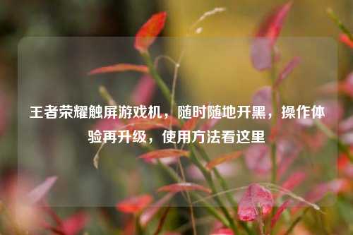 王者荣耀触屏游戏机，随时随地开黑，操作体验再升级，使用方法看这里