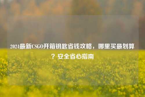 2024最新CSGO开箱钥匙省钱攻略，哪里买最划算？安全省心指南