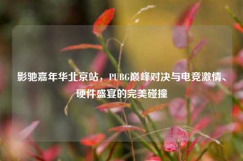 影驰嘉年华北京站，PUBG巅峰对决与电竞激情、硬件盛宴的完美碰撞