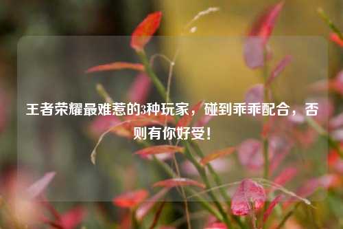 王者荣耀最难惹的3种玩家，碰到乖乖配合，否则有你好受！