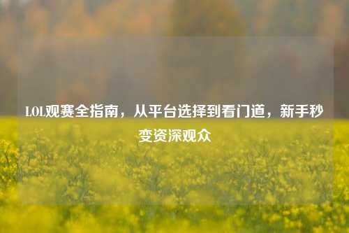 LOL观赛全指南，从平台选择到看门道，新手秒变资深观众