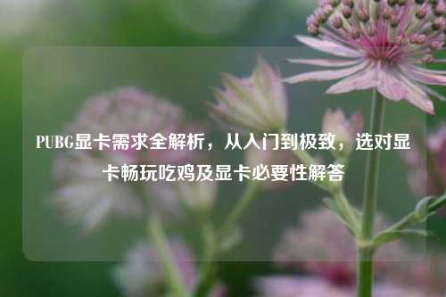 PUBG显卡需求全解析,从入门到极致,选对显卡畅玩吃鸡及显卡必要性解答