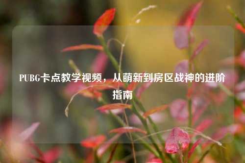 PUBG卡点教学视频，从萌新到房区战神的进阶指南
