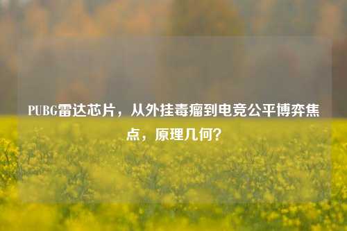 PUBG雷达芯片，从外挂毒瘤到电竞公平博弈焦点，原理几何？