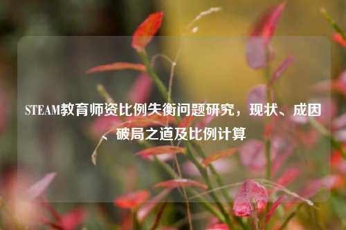 STEAM教育师资比例失衡问题研究,现状、成因、破局之道及比例计算