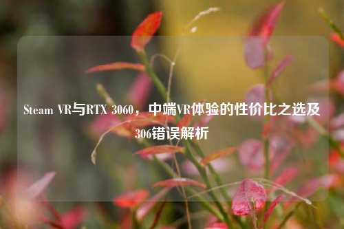 Steam VR与RTX 3060，中端VR体验的性价比之选及306错误解析