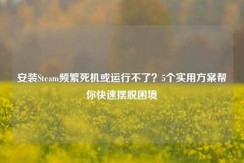 安装Steam频繁死机或运行不了？5个实用方案帮你快速摆脱困境
