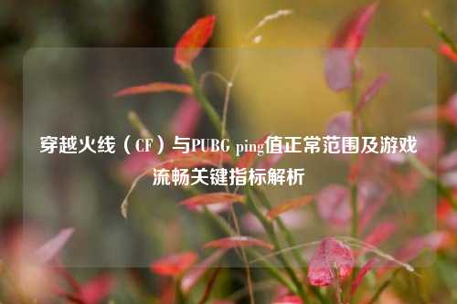 穿越火线（CF）与PUBG ping值正常范围及游戏流畅关键指标解析
