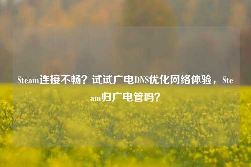 Steam连接不畅？试试广电DNS优化网络体验，Steam归广电管吗？