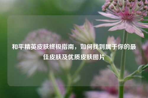 和平精英皮肤终极指南,如何找到属于你的最佳皮肤及优质皮肤图片