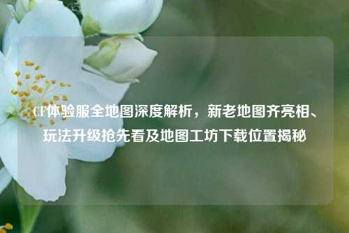 CF体验服全地图深度解析，新老地图齐亮相、玩法升级抢先看及地图工坊下载位置揭秘
