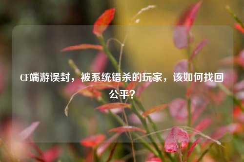 CF端游误封，被系统错杀的玩家，该如何找回公平？