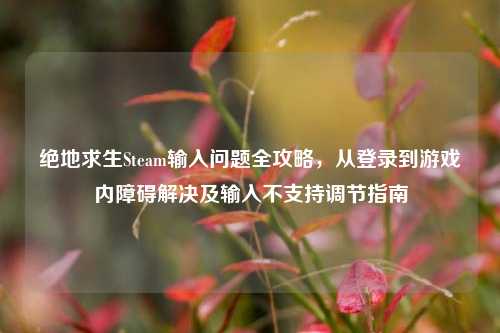 绝地求生Steam输入问题全攻略,从登录到游戏内障碍解决及输入不支持调节指南