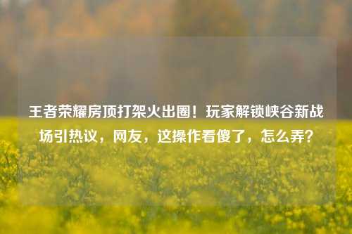 王者荣耀房顶打架火出圈！玩家解锁峡谷新战场引热议，网友，这操作看傻了，怎么弄？