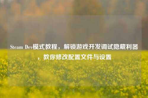 Steam Dev模式教程，解锁游戏开发调试隐藏利器，教你修改配置文件与设置