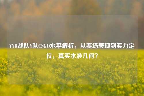 YYR战队Y队CSGO水平解析，从赛场表现到实力定位，真实水准几何？