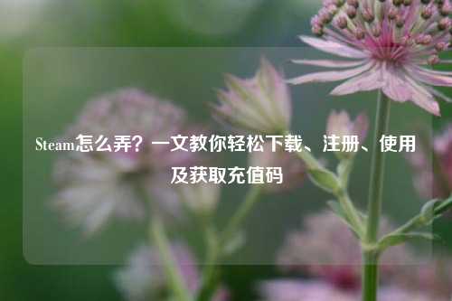 Steam怎么弄？一文教你轻松下载、注册、使用及获取充值码