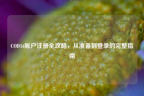 COD16账户注册全攻略，从准备到登录的完整指南