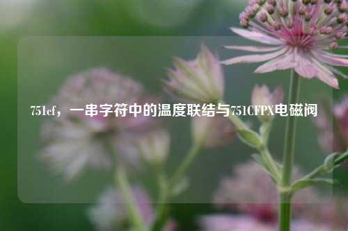 751cf，一串字符中的温度联结与751CFPX电磁阀