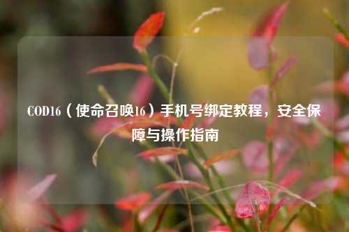 COD16（使命召唤16）手机号绑定教程，安全保障与操作指南