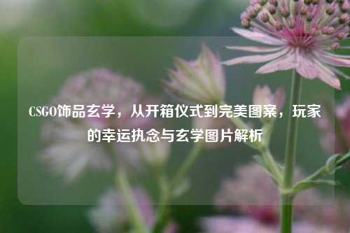 CSGO饰品玄学，从开箱仪式到完美图案，玩家的幸运执念与玄学图片解析