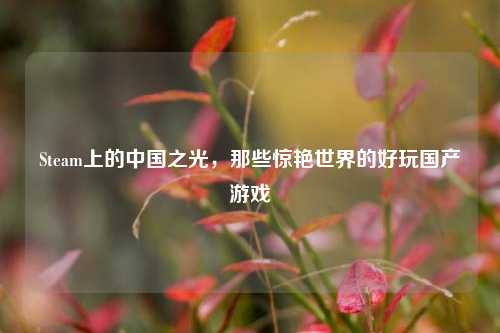 Steam上的中国之光，那些惊艳世界的好玩国产游戏
