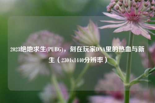 2023绝地求生(PUBG)，刻在玩家DNA里的热血与新生（2304x1440分辨率）