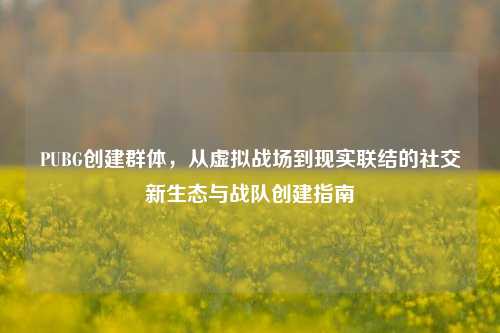 PUBG创建群体，从虚拟战场到现实联结的社交新生态与战队创建指南