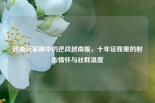 越南玩家眼中的逆战越南服，十年征程里的射击情怀与社群温度