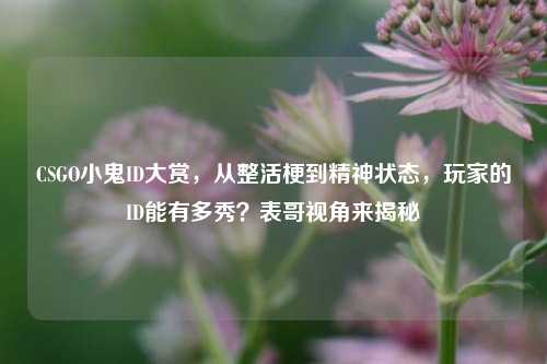 CSGO小鬼ID大赏,从整活梗到精神状态,玩家的ID能有多秀?表哥视角来揭秘