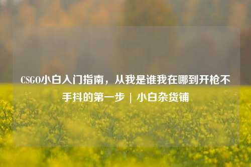 CSGO小白入门指南，从我是谁我在哪到开枪不手抖的第一步 | 小白杂货铺
