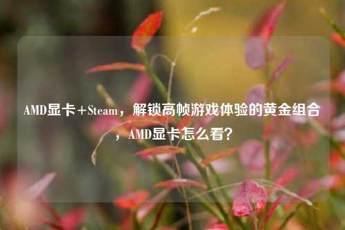 AMD显卡+Steam，解锁高帧游戏体验的黄金组合，AMD显卡怎么看？