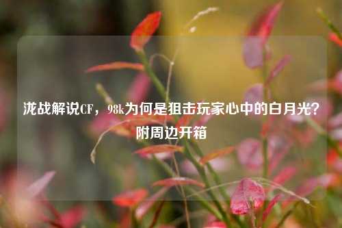 泷战解说CF，98k为何是狙击玩家心中的白月光？附周边开箱