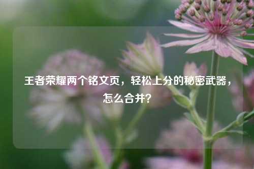 王者荣耀两个铭文页，轻松上分的秘密武器，怎么合并？