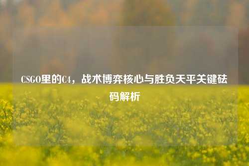 CSGO里的C4，战术博弈核心与胜负天平关键砝码解析