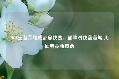 2021王者荣耀成都总决赛，巅峰对决落蓉城 见证电竞新传奇