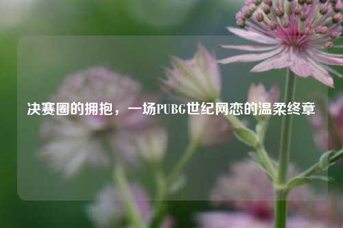 决赛圈的拥抱，一场PUBG世纪网恋的温柔终章