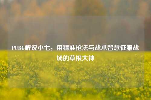 PUBG解说小七，用精准枪法与战术智慧征服战场的草根大神